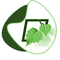 Betula Asia Aid Foundation