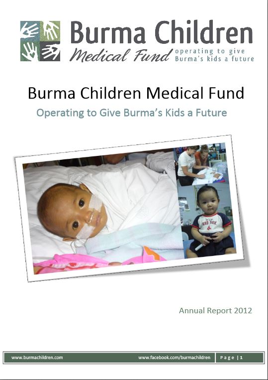 2012 annual report